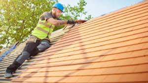 Trusted Ricardo, TX Roofing Service  Experts